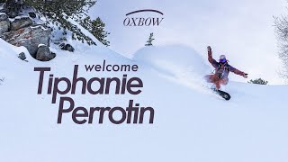 WELCOME TIPHANIE PERROTIN [upl. by Hsirrehc878]