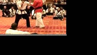 Richard Norton Seminar clip [upl. by Haleemaj]