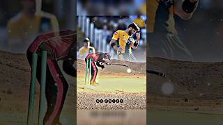 shaheen Afridi perfect Yorkerviral cricket batsman cricketplayer wicket pakistanicricketer [upl. by Branden]