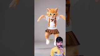 Cat dancing bike driving cat cattos funny catee catie cute dance catlette [upl. by Lobiv]