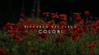 RICCARDO DEL TURCO Colori Official Video [upl. by Paradies]