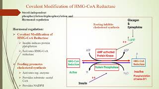 Cholesterol metabolism and hypercholesterolemia [upl. by Walliw]