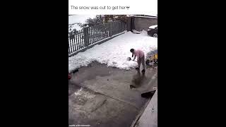 The Snow Has Opp😂😂memes viralvideo ytshortsvideo youtubeshorts [upl. by Adnimra]