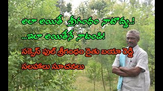 Sandalwood farming guide Sandalwood cultivation శ్రీగంధం సాగు మెల‌కువ‌లు రైతు అనుభ‌వాలు [upl. by Anthia324]