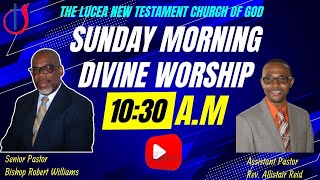 Divine Worship Service Sunday August 11 2024 Part 2 [upl. by Macintyre280]