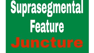 Juncture  Suprasegmental Feature  In urdu [upl. by Koetke]