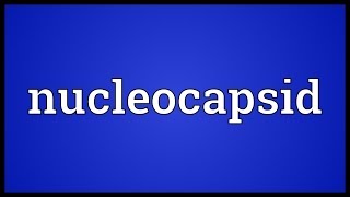 Nucleocapsid Meaning [upl. by Liatris]