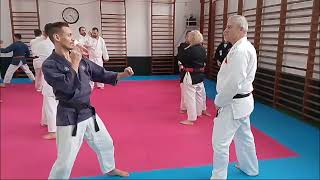 TAIHO JUTSU  KANO RYU  MEICHI RYU  SEMINARIO PORTUGAL 2024 [upl. by Asyl803]