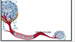 Role of oxidative stress in cancer [upl. by Healey]