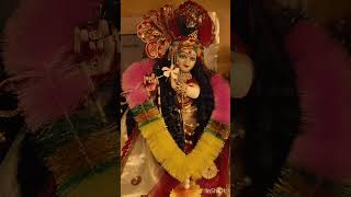 taal pe jab ye jindagaani chali Radhe Radhe subscribe plz🙏💜 you tube shorts video yt shorts [upl. by Aneen831]