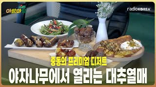 아침마당중동의 프리미엄 디저트 야자나무에서 열리는 대추열매 아미하지 메드줄  정직한 농부 강지나의 자연밥상 라디오코리아 보이는라디오 [upl. by Mauchi]