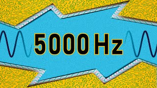 5000 Hz TEST TONE SOUND [upl. by Lesh]