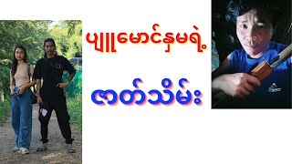 ပျူမောင်နှမရဲ့ ဇာတ်သိမ်း [upl. by Cypro207]