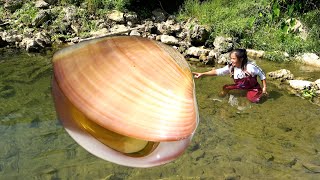 Magical pearl clams have appeared and the quantity is very large··· [upl. by Westbrook]