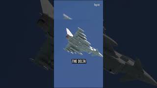 Why does Eurofighter Typhoon use Delta Wing shorts [upl. by Saffren]