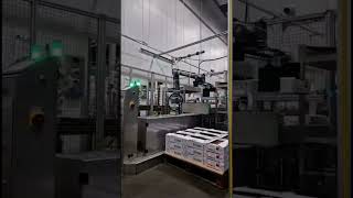 RB1200 Palletiser Using Servo Gripper  Reeco Automation [upl. by Erv636]