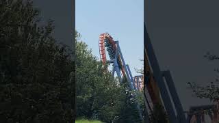 Immelmann themepark amusementpark rollercoaster coaster dorneypark [upl. by Holmun]