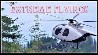 Extreme Helicopter Logging  Filming an Amazing Pilot in Action  Special Presentation Hughes 500d [upl. by Puduns297]