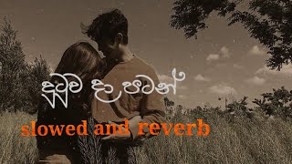 Dutuwa da patanදුටුව දා පටන් slowed and reverb [upl. by Glenden]