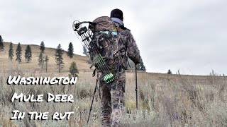 Deer Hunting  Archery Mule Deer  Washington Rut Hunt [upl. by Eugilegna214]