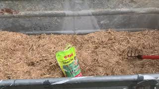 Soaking Chopped Straw in Hydrated Lime Bath for Cold Pasteurization [upl. by Edmonds]