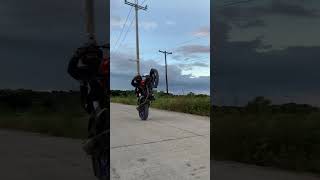 Sc project exhaust 150cc wheelie stunt [upl. by Funk]