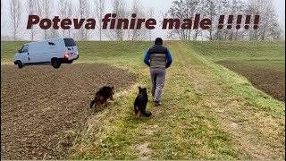 Capodanno🎇prima uscita dei cucciolirimaniamo piantati con il 🚐 germanshepherd pastoretedesco [upl. by Gabel]