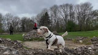 Donnington Castle Newbury Berkshire [upl. by Aleyak]