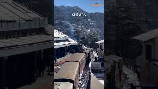 Shimla में snowfall🌨️ कब होगा  Shimla बदल गया है 😳  shimla shimlatoday shimlasnowfall [upl. by Merill270]