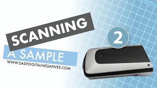 Easy Digital Negatives scanning a grayscale table sample [upl. by Hiamerej]