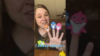 CUTE Baby Shark Finger Family Song🦈 kidssongs toddlersongs [upl. by Linson]