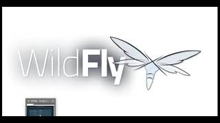 WildFly application server installation  Usercreation  run server  jboss [upl. by Wey349]