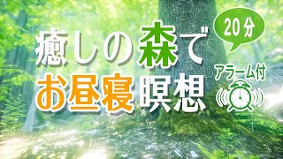 【お昼寝瞑想】寝ながら聴ける森の誘導瞑想 20分｜自然音・アラーム付き｜睡眠誘導｜パワーナップ・仮眠用 [upl. by Ettedranreb473]