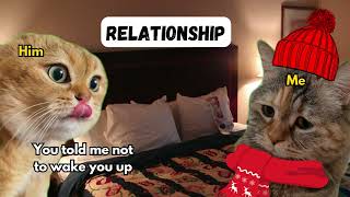 2 Cat talking Funny relationship memes [upl. by Jaimie]