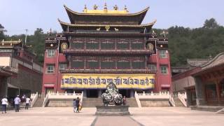 The Kumbum monastery  Le monastère Kumbum Qinghai  China [upl. by Hillard]