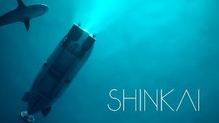 Shinkai  Blender Short Film  free blend file [upl. by Garreth601]