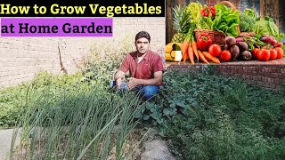 How to grow vegetables at home  Organic Veggies from Kitchen Garden  Easy way to grow vegetables [upl. by Aisinoid]