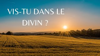 ❓VISTU DANS LE DIVIN [upl. by Herzig]