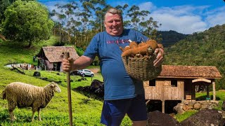 ENTENDENDO A CULTURA ALEMÃ EM POMERODE [upl. by Ahseket]