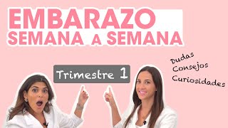 🤰🏻Dudas consejos y curiosidades del EMBARAZO🤰🏻 ¡primer trimestre  Mifarma Farmacia [upl. by Rats]