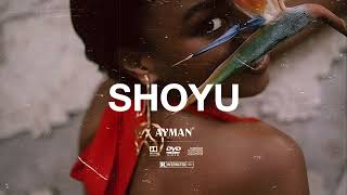 Shoyu  B Young ft Tiwa Savage amp Rema Type Beat  Smooth Afrobeat Instrumental 2024 [upl. by Koppel569]