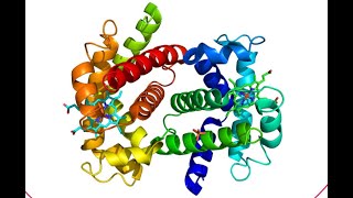 KNOCKout genes Alevel biology lecture [upl. by Allehc]