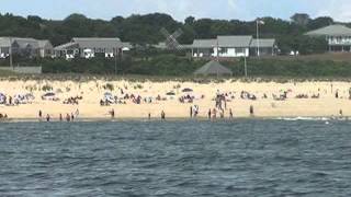 Tour of Shark Alley off Chatham Cape Cod [upl. by Grigson194]