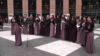 Divinum Wallachian Choir  Ach synku synku Evropský parlament [upl. by Lramaj]