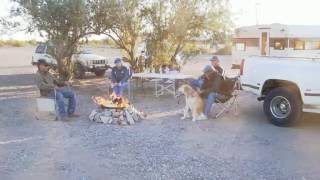 RV Land for Sale  Quartzsite Arizona [upl. by Wyne]