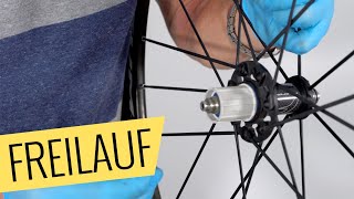 Fahrrad Freilauf austauschen  einfach amp schnell  Fahrradorg [upl. by Malan148]