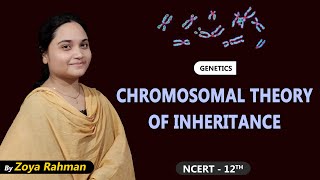 Chromosomal Theory of Inheritance  Genetics  Zoya Rahman  NCERT 12th  NEET  AIIMS [upl. by Elohcan]