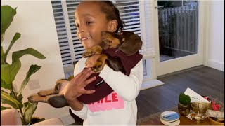 AMIYAH MEETS SLIM😍🐶 👨‍👧 DADDY DAUGHTER DIARIES [upl. by Iloj]