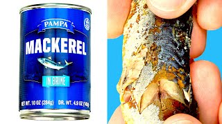 1 Pampa Mackerel in Brine  Tasty Food from Dollar Tree [upl. by Ailbert85]