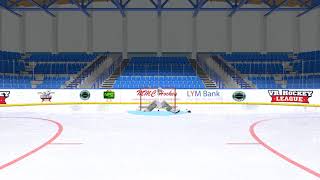 VR Goalie Spectator [upl. by Reames]